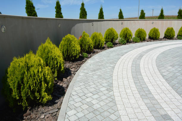 Reasons to Select Us for Your Driveway Paving Requirements in Bay Minette, AL